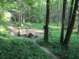 Родник Живой и Мёртвой воды, image of landscape/habitat.