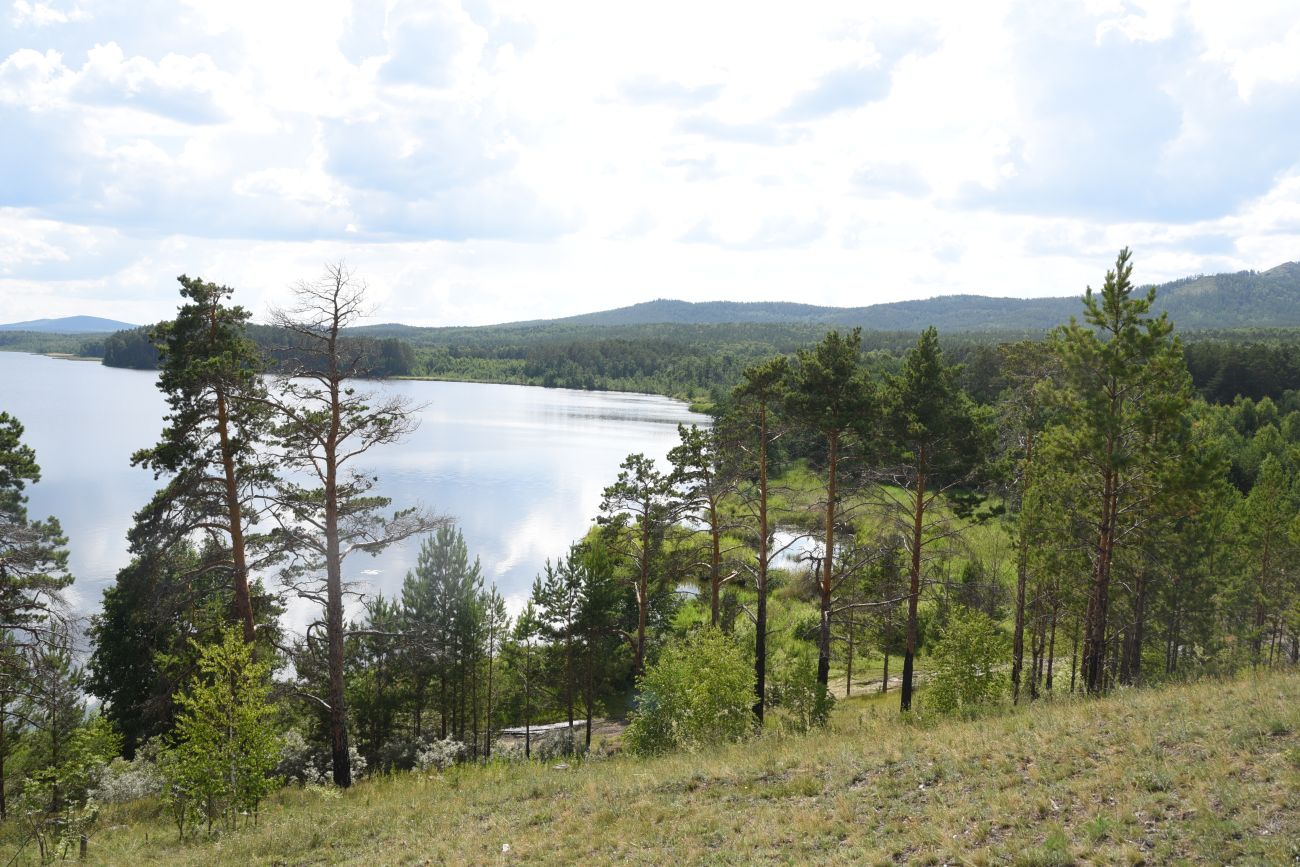 Урочище Голая Сопка, image of landscape/habitat.