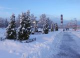 Электрогорск и его окрестности, image of landscape/habitat.