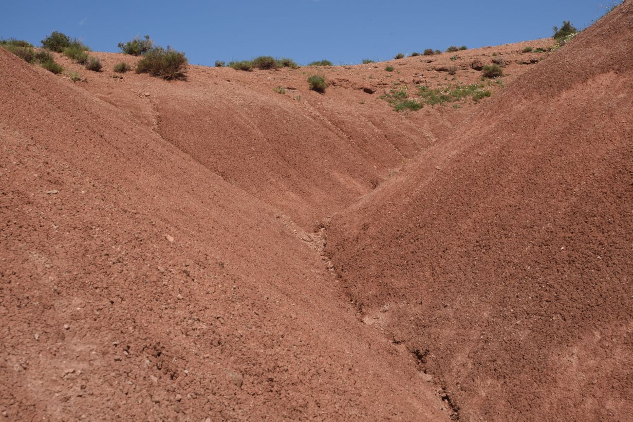 Урочище Кызыл-Кая, image of landscape/habitat.