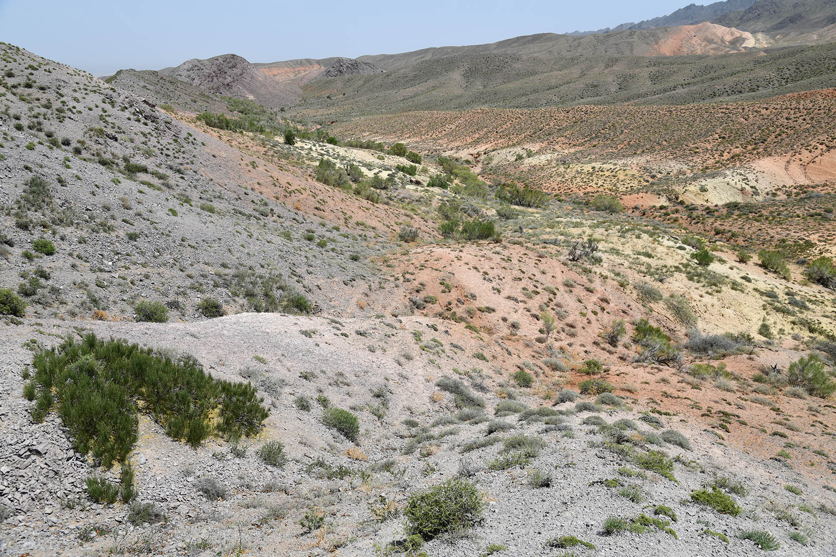 Бала-Богуты, image of landscape/habitat.