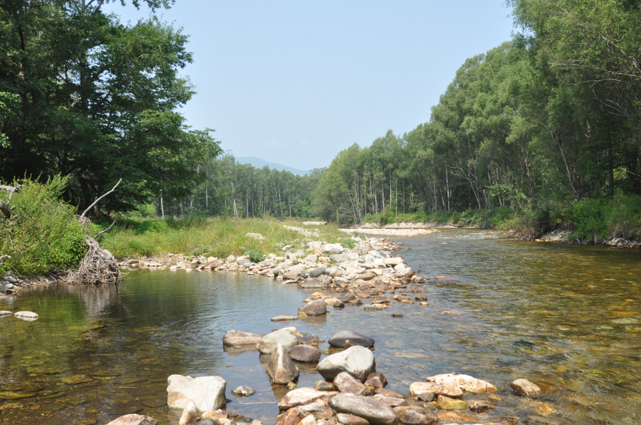 Долина реки Заболоченная, image of landscape/habitat.