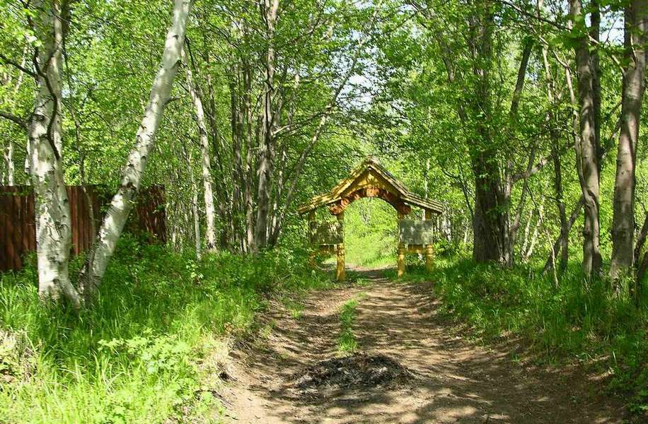 Кордон "Пиначевский", image of landscape/habitat.