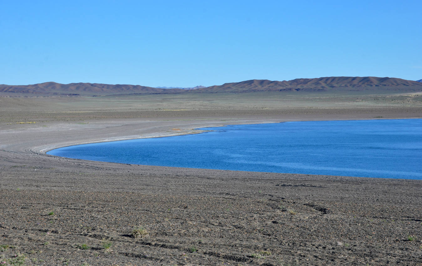 Озеро Хяргас-Нуур, image of landscape/habitat.