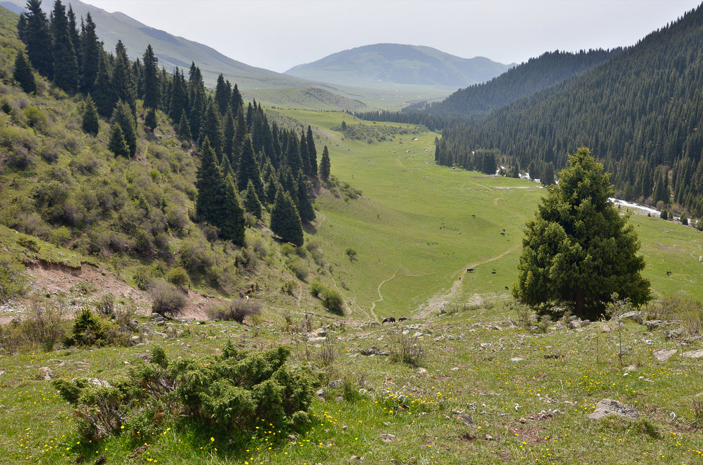 Семёновское ущелье, image of landscape/habitat.