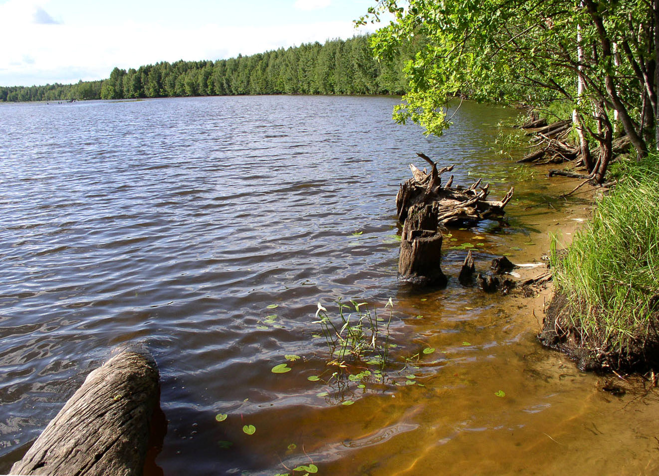 Чебоксарское водохранилище, image of landscape/habitat.