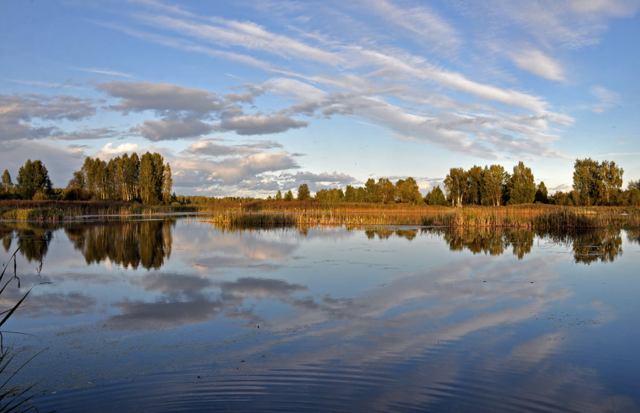 Долина реки Якоть, image of landscape/habitat.