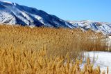 Окрестности с. Жабаглы, image of landscape/habitat.