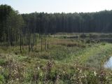 Image of landscape