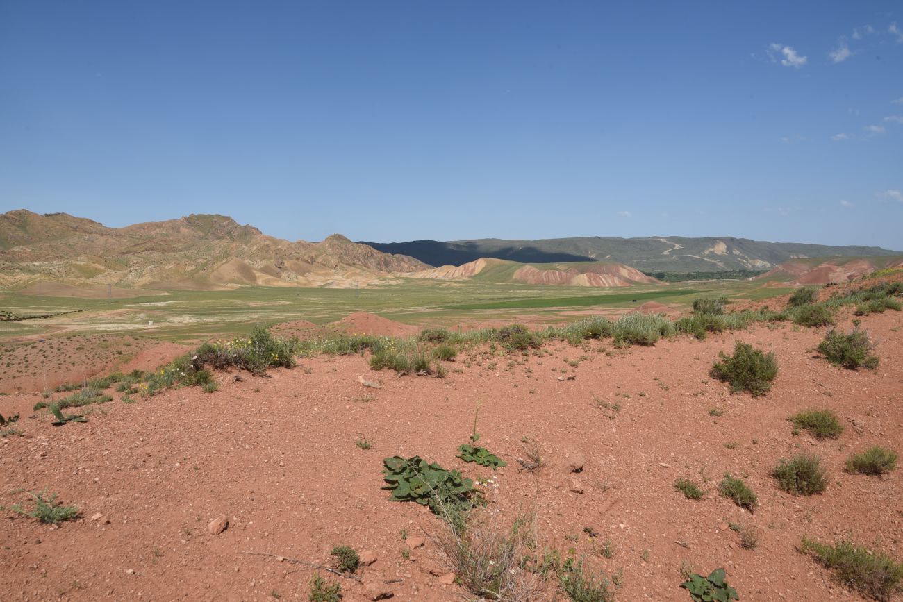 Урочище Кызыл-Кая, image of landscape/habitat.