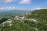 Image of landscape