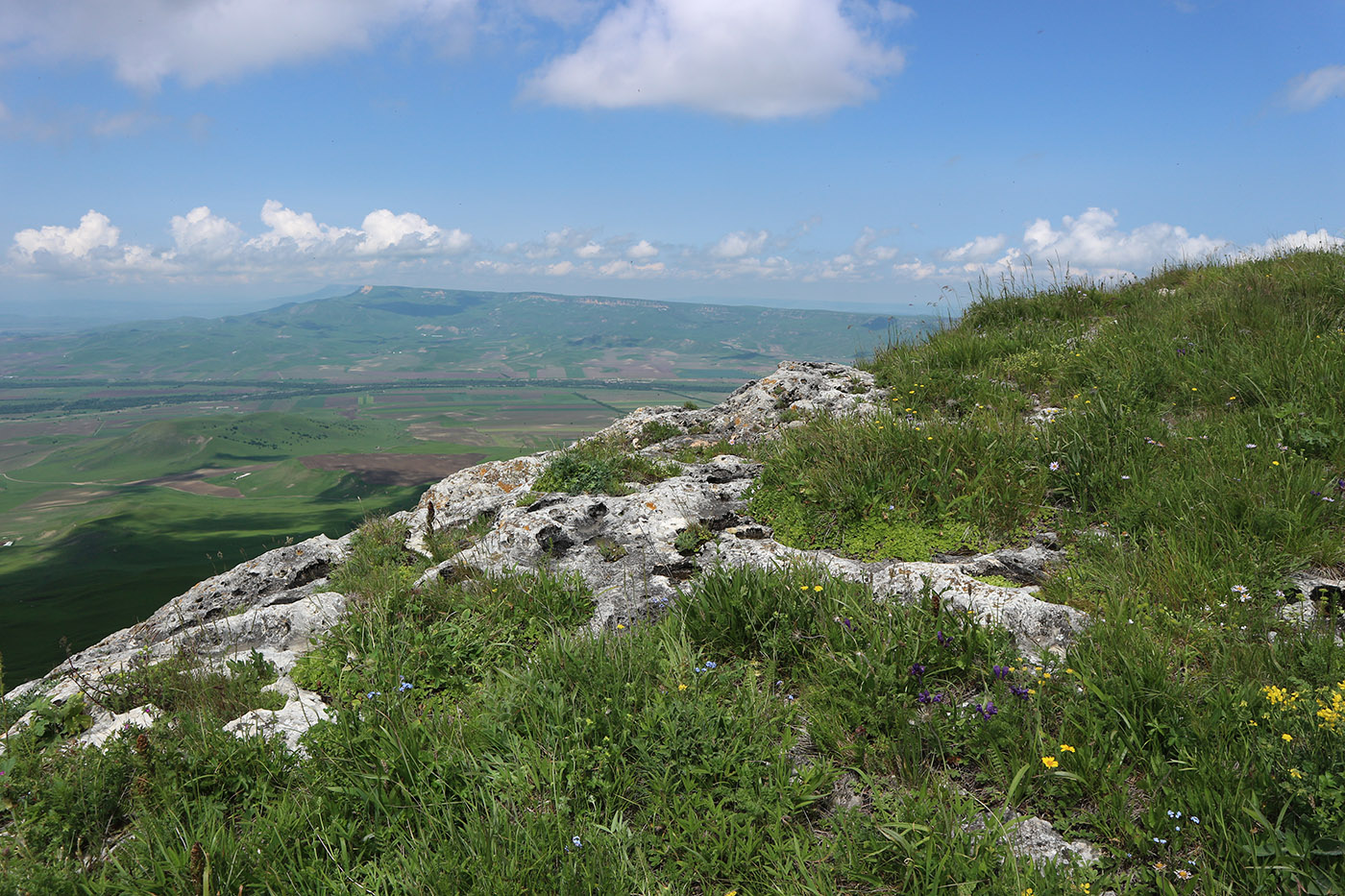 Джангур, image of landscape/habitat.