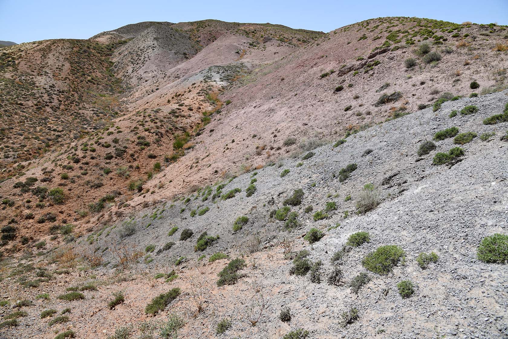 Бала-Богуты, image of landscape/habitat.