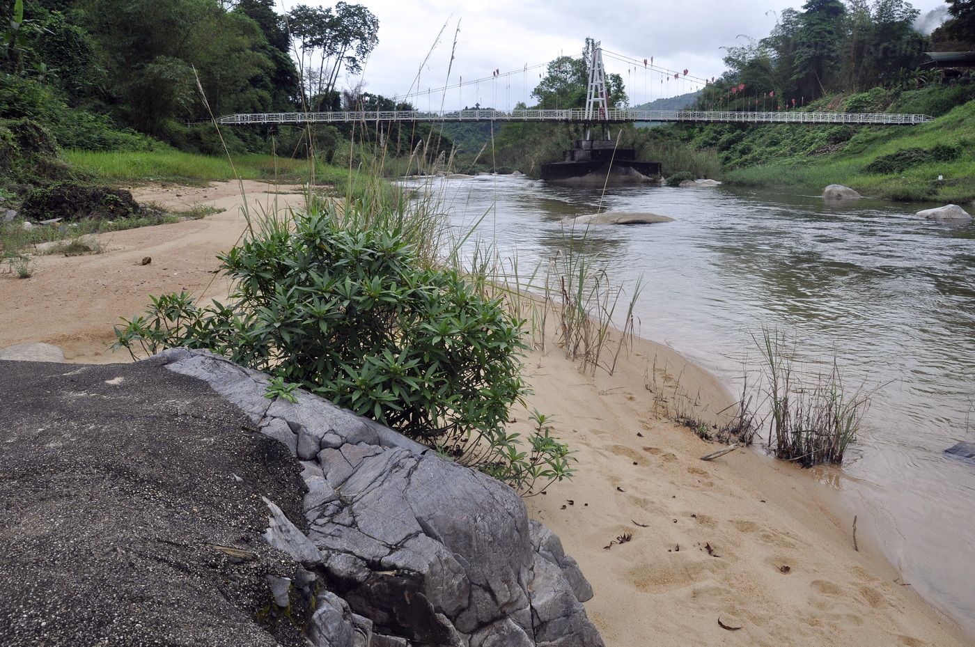 Нячанг, image of landscape/habitat.
