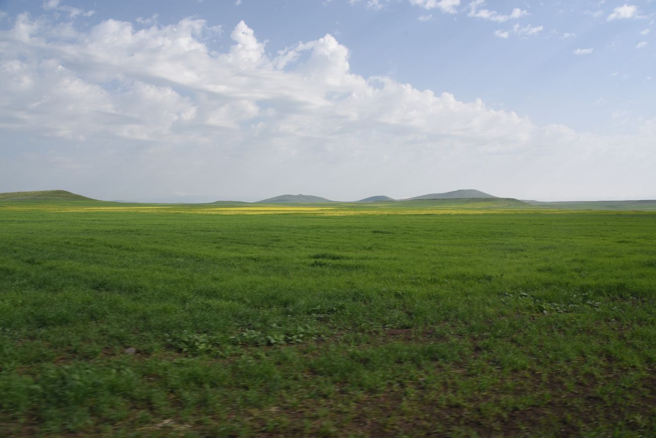 Овраг Хачидзор, image of landscape/habitat.