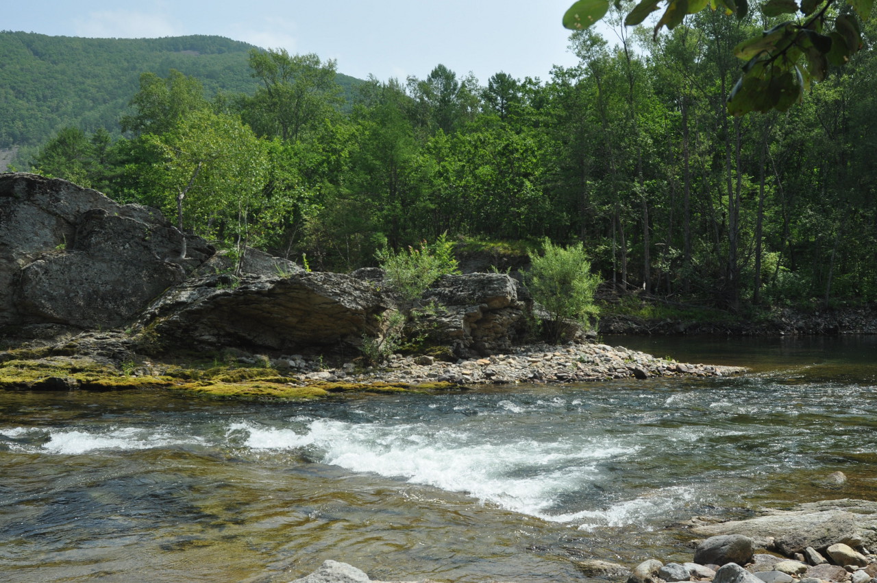 Долина реки Заболоченная, image of landscape/habitat.