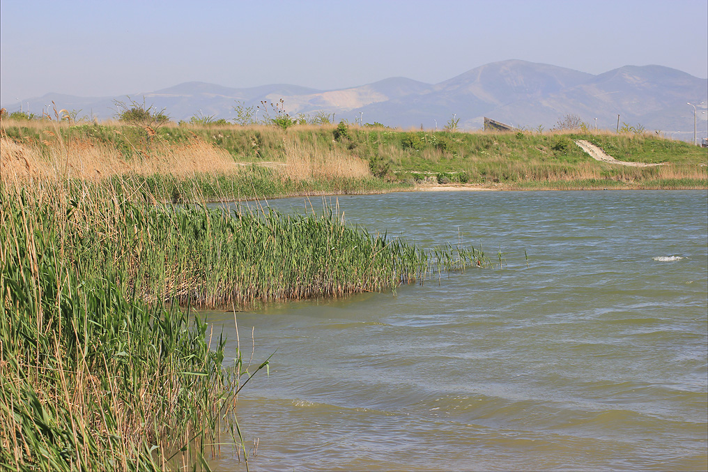 Окрестности Суджукской лагуны, image of landscape/habitat.