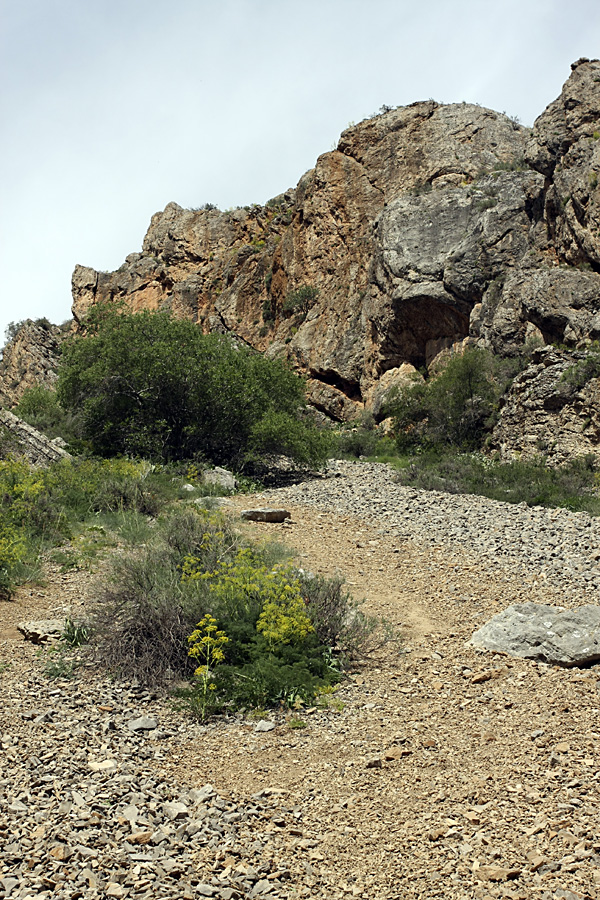 Каньон Даубаба, изображение ландшафта.