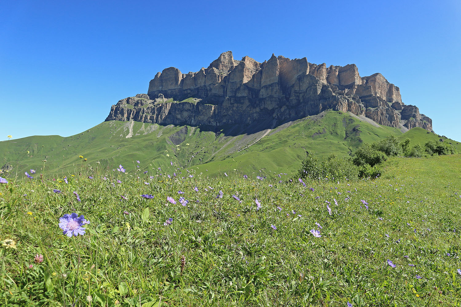 Мехтеген, image of landscape/habitat.