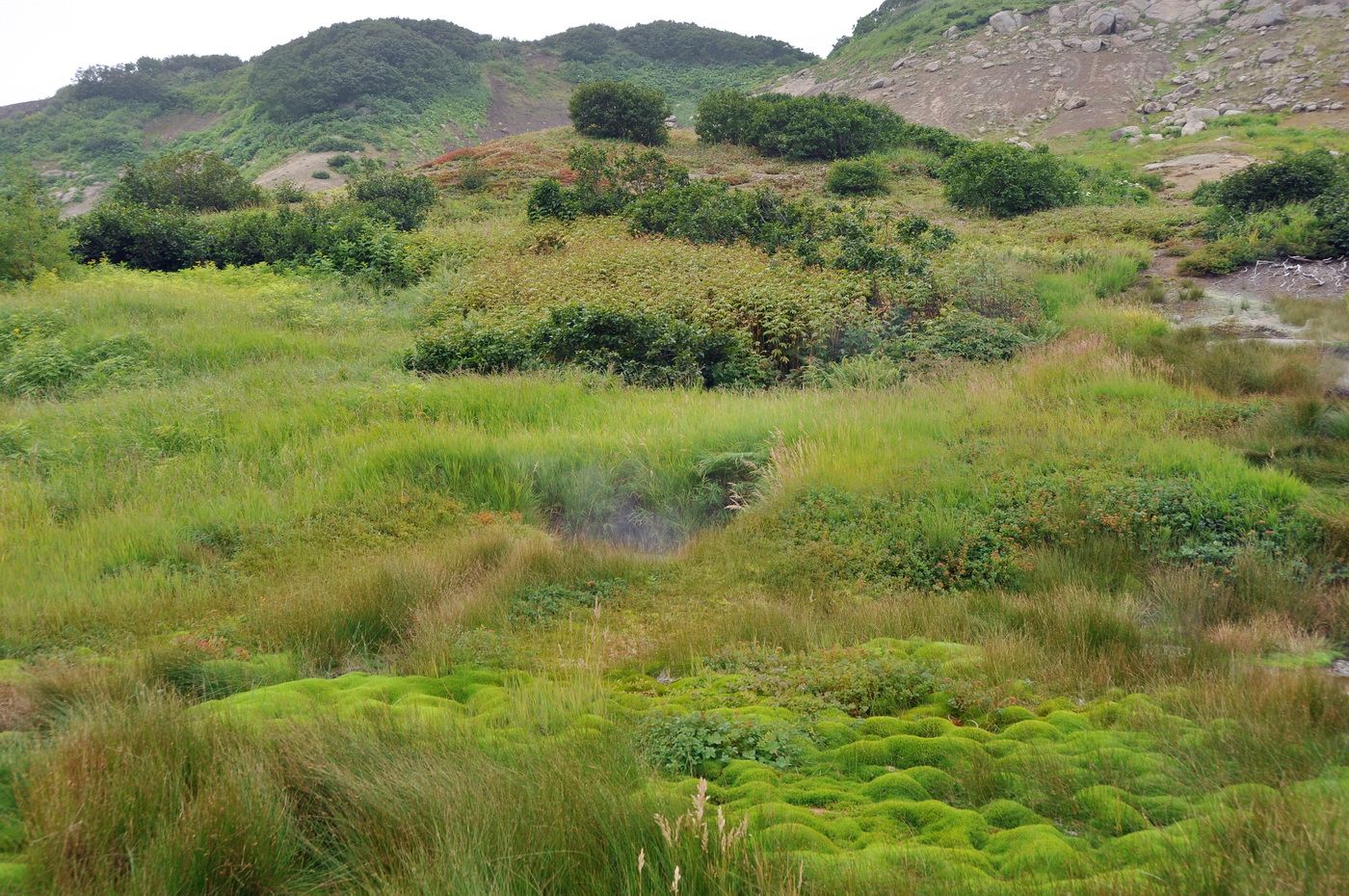 Дачные термальные источники, image of landscape/habitat.