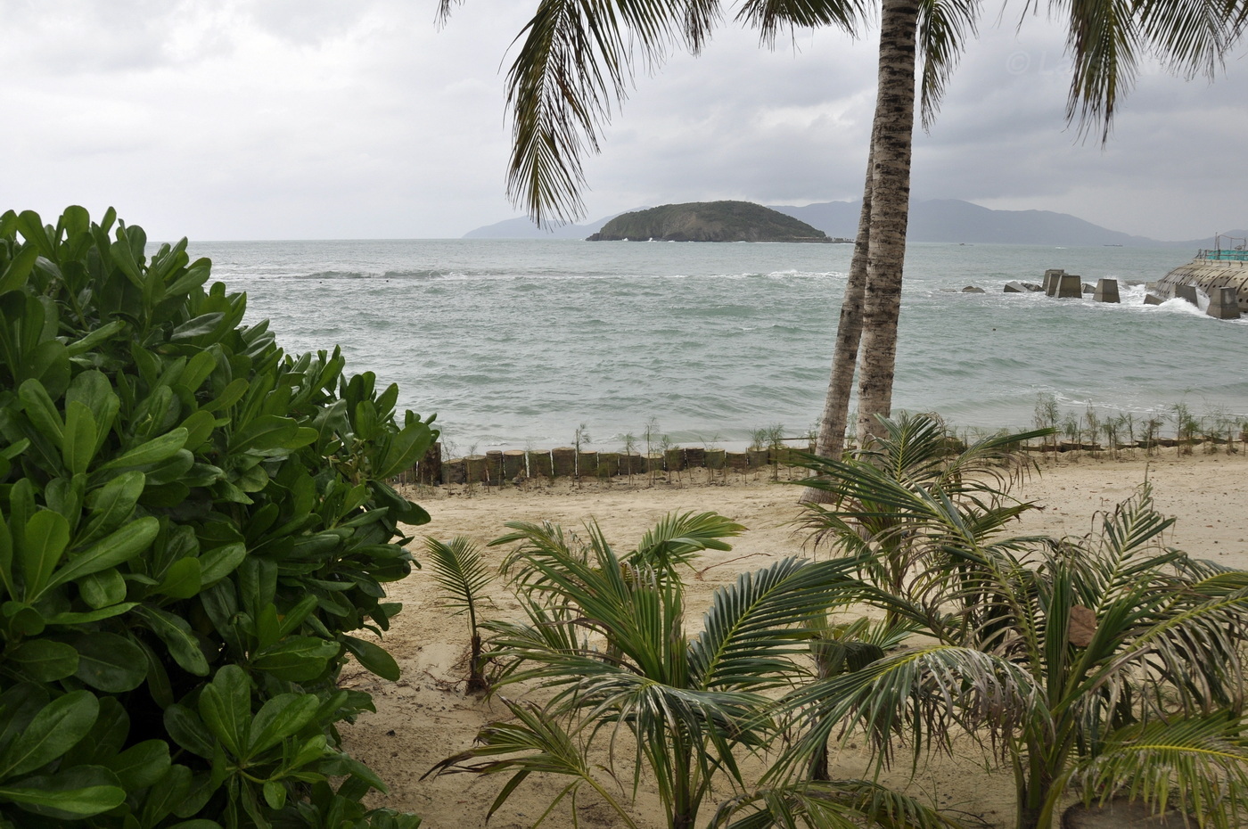 Нячанг, image of landscape/habitat.