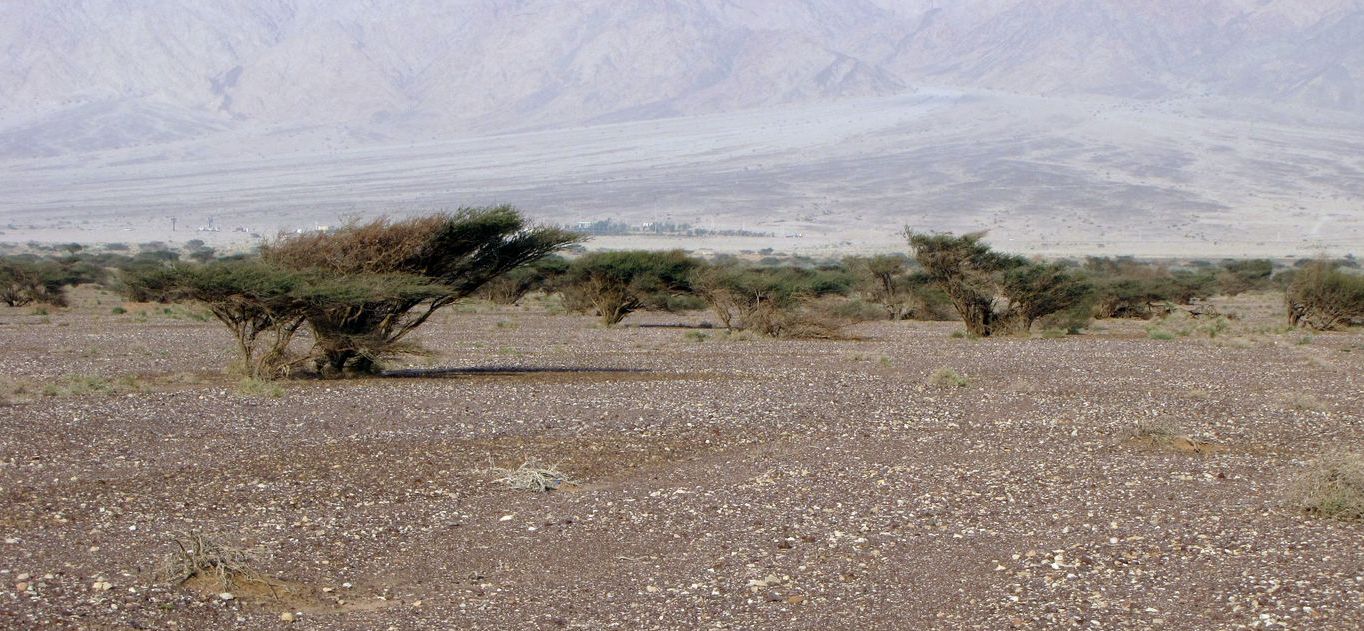 Эмек Арава, image of landscape/habitat.