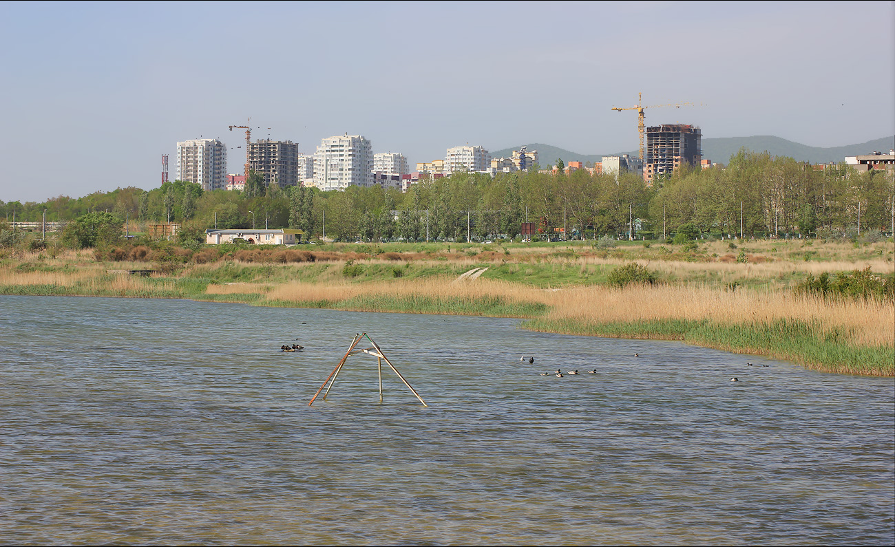 Окрестности Суджукской лагуны, image of landscape/habitat.