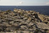 Image of landscape