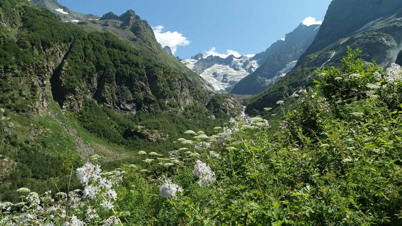 Аманауз, image of landscape/habitat.