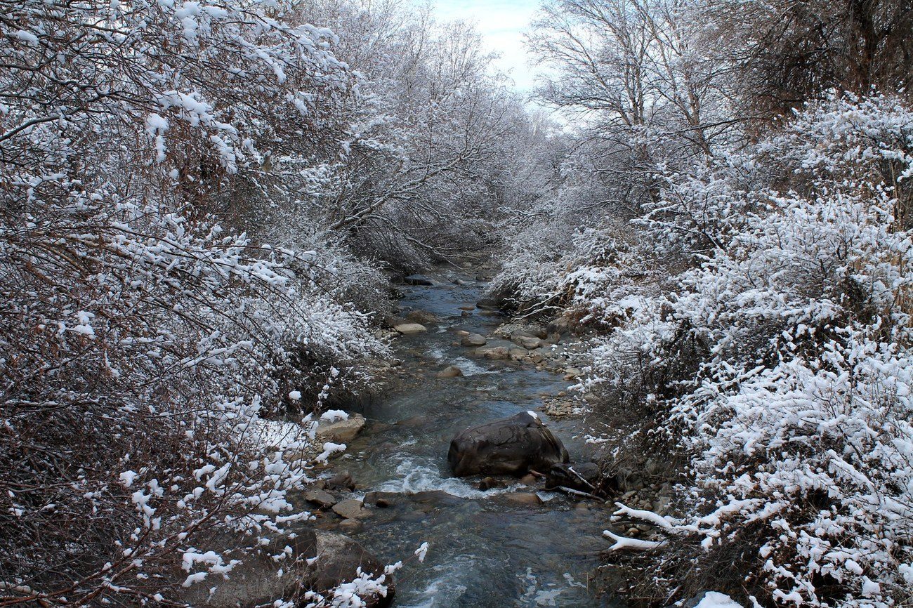 Окрестности с. Жабаглы, image of landscape/habitat.