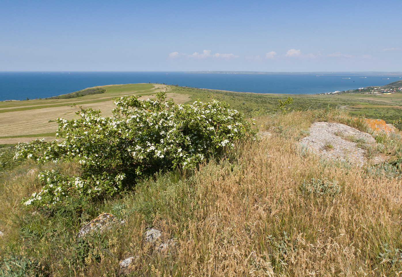 Каменоломня на Хрони, image of landscape/habitat.