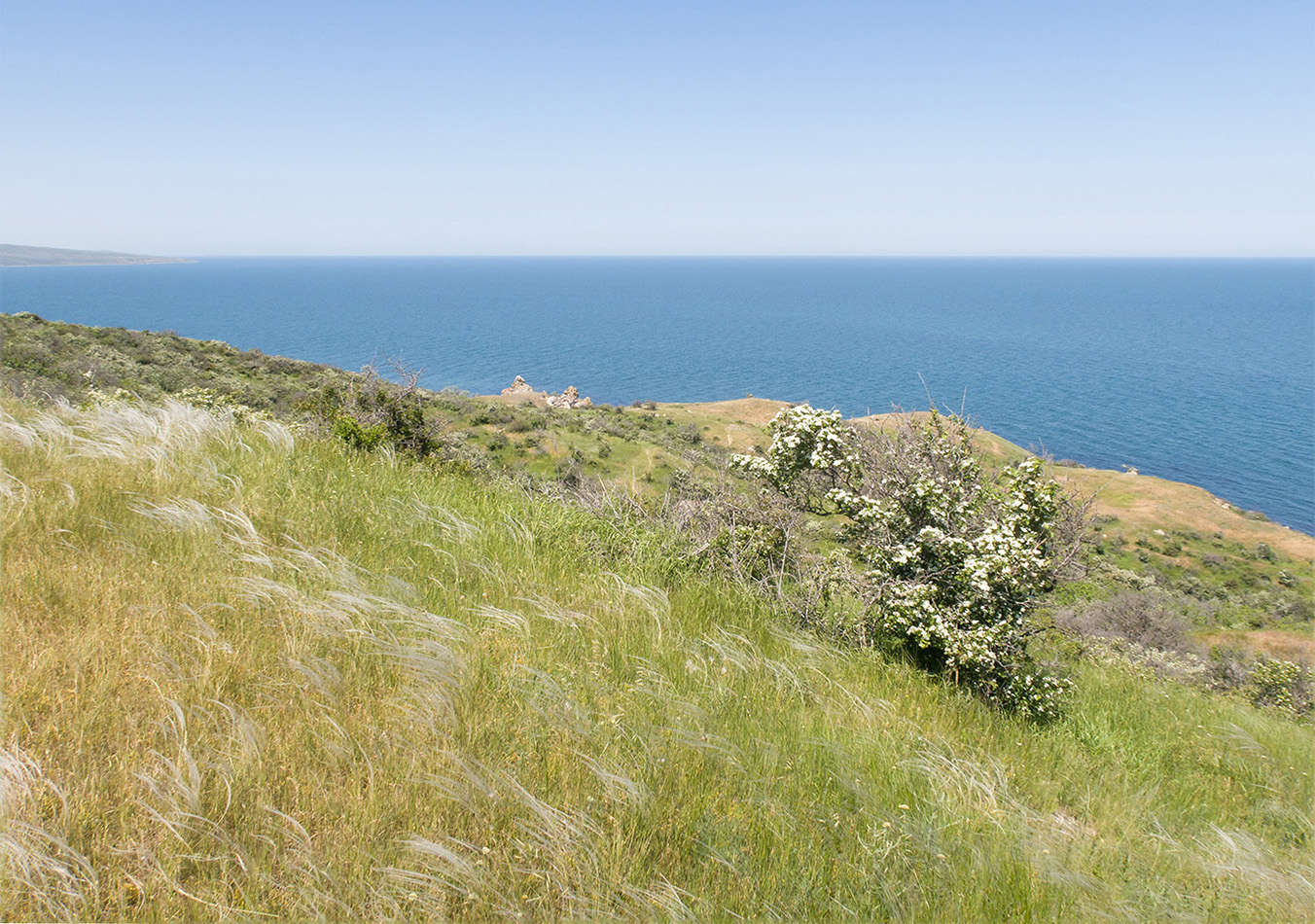 Мыс Орёл, image of landscape/habitat.