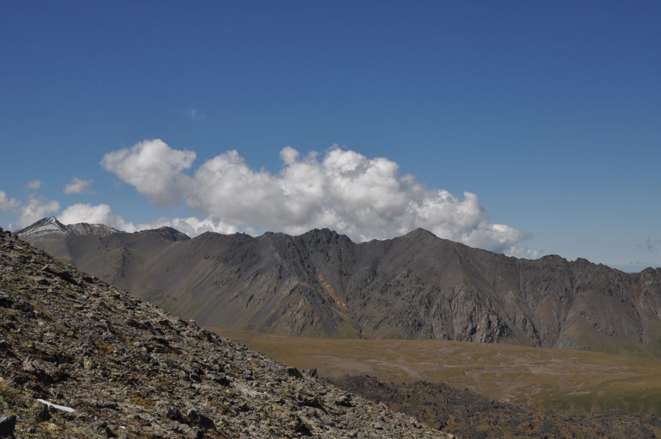 Хребет Ташлы-Сырт, image of landscape/habitat.