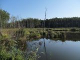 Image of landscape