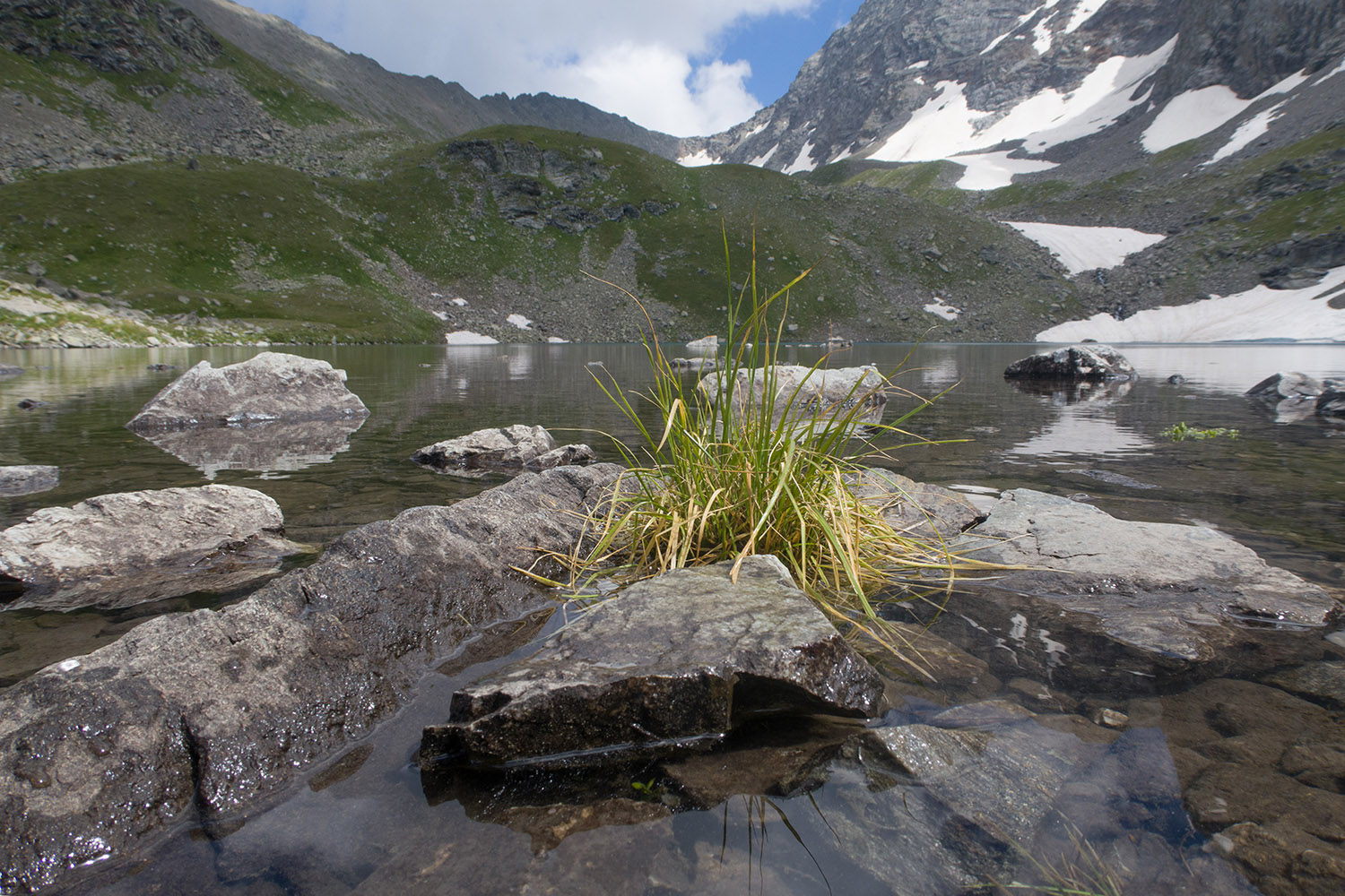 Озеро Тихое, image of landscape/habitat.