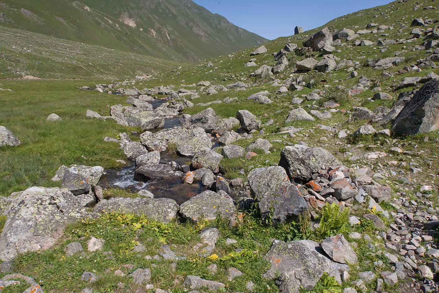 Родниковый ручей, image of landscape/habitat.