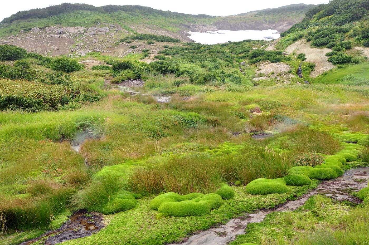 Дачные термальные источники, image of landscape/habitat.