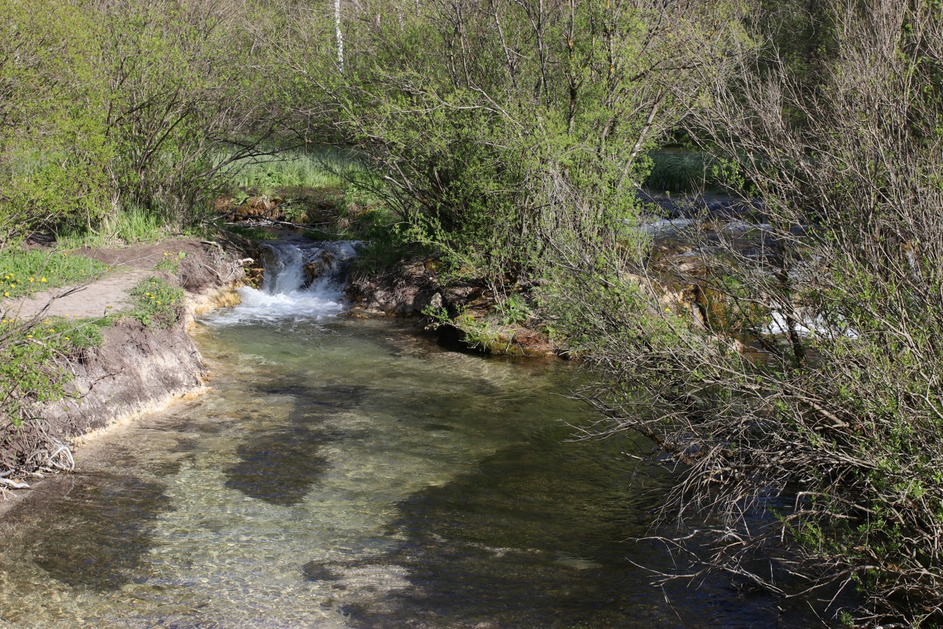 Истоки Шингарки, image of landscape/habitat.