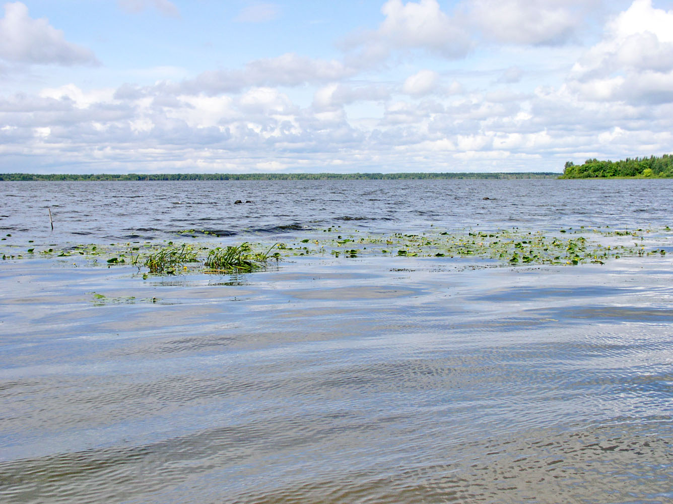 Чебоксарское водохранилище, image of landscape/habitat.