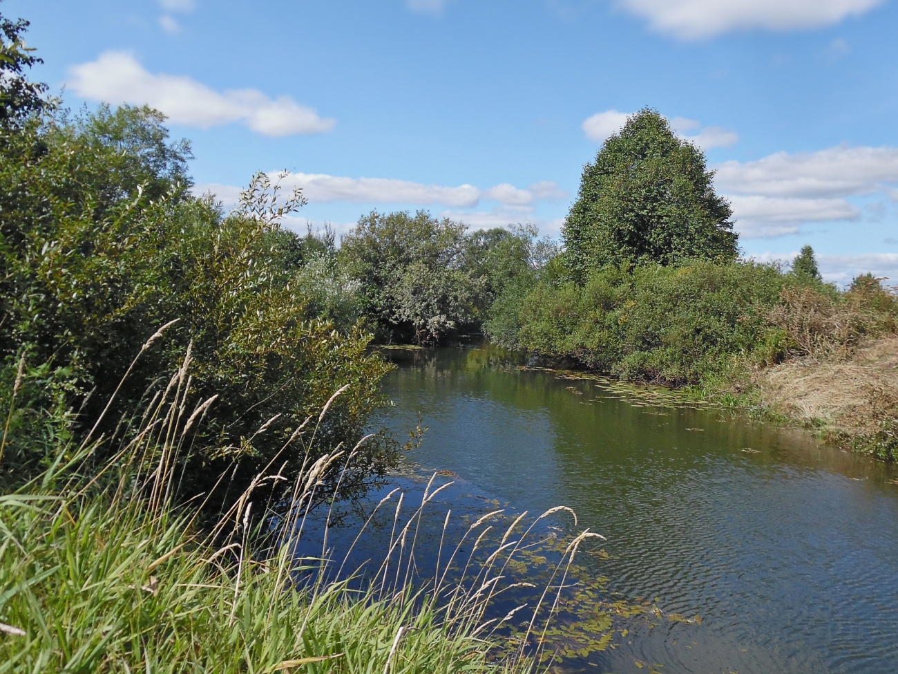 Медведевский район Марий Эл, image of landscape/habitat.