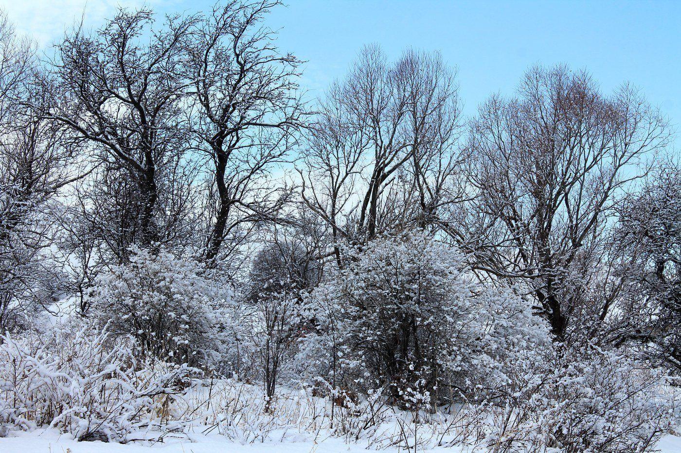 Окрестности с. Жабаглы, image of landscape/habitat.