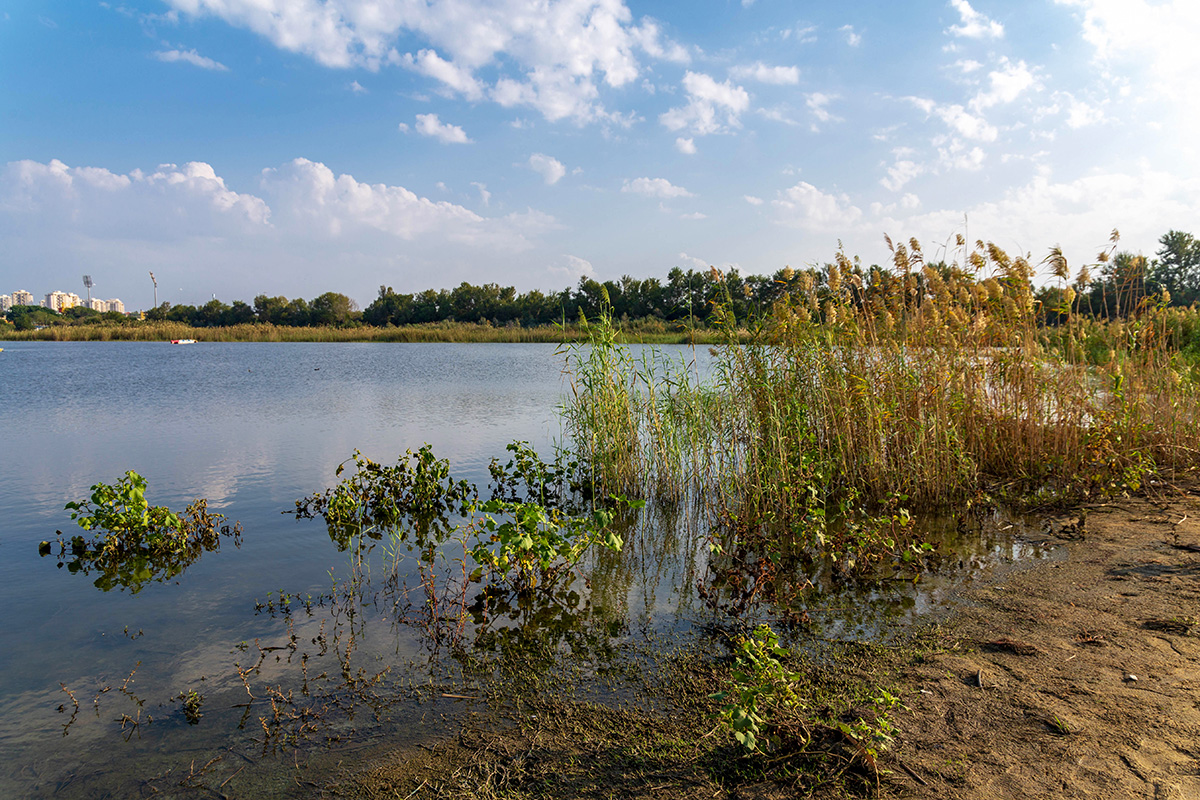 Ришон-ле-Цион и окрестности, image of landscape/habitat.