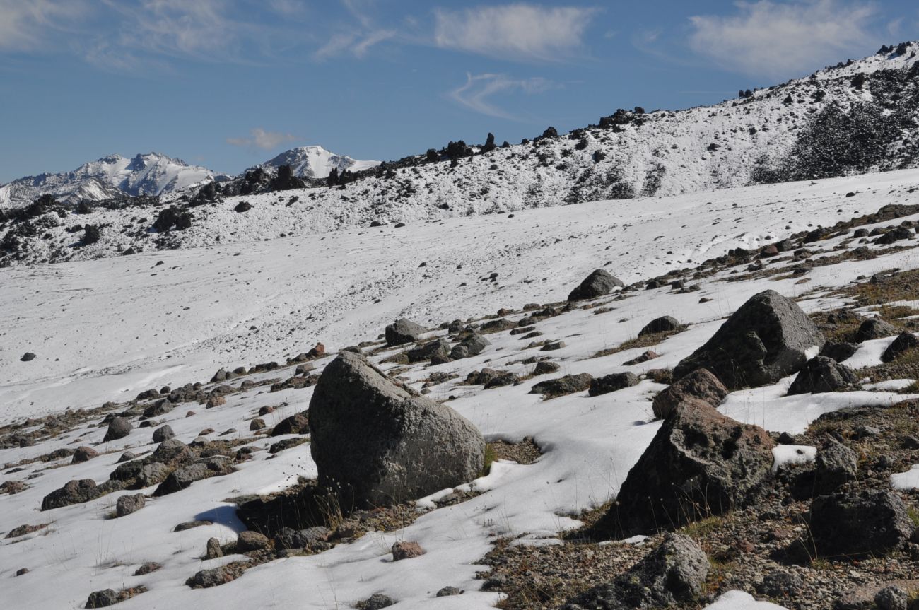 Урочище Лунная Поляна, image of landscape/habitat.