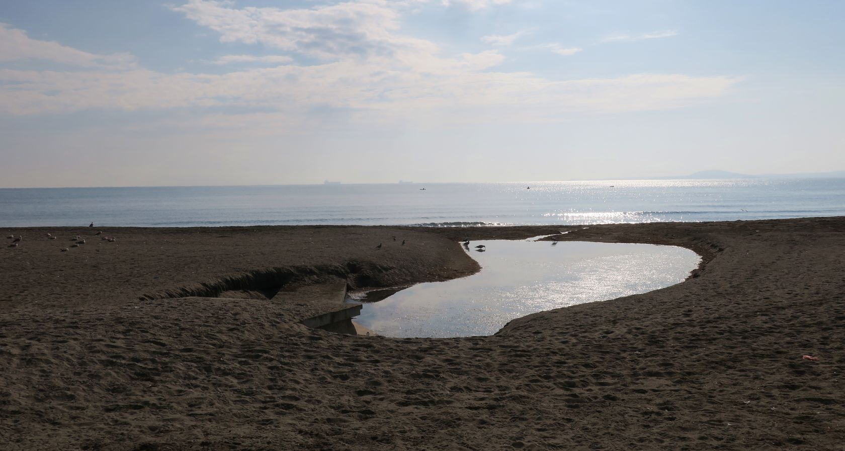 Бургас, image of landscape/habitat.