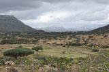 Image of landscape