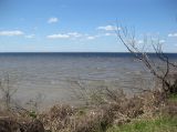 Трахтемиров, image of landscape/habitat.