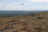 Окрестности Мурманска, image of landscape/habitat.