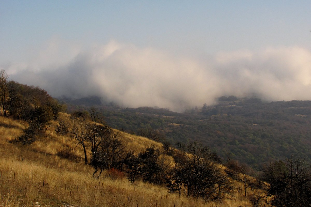 Ай-Петринская яйла, image of landscape/habitat.