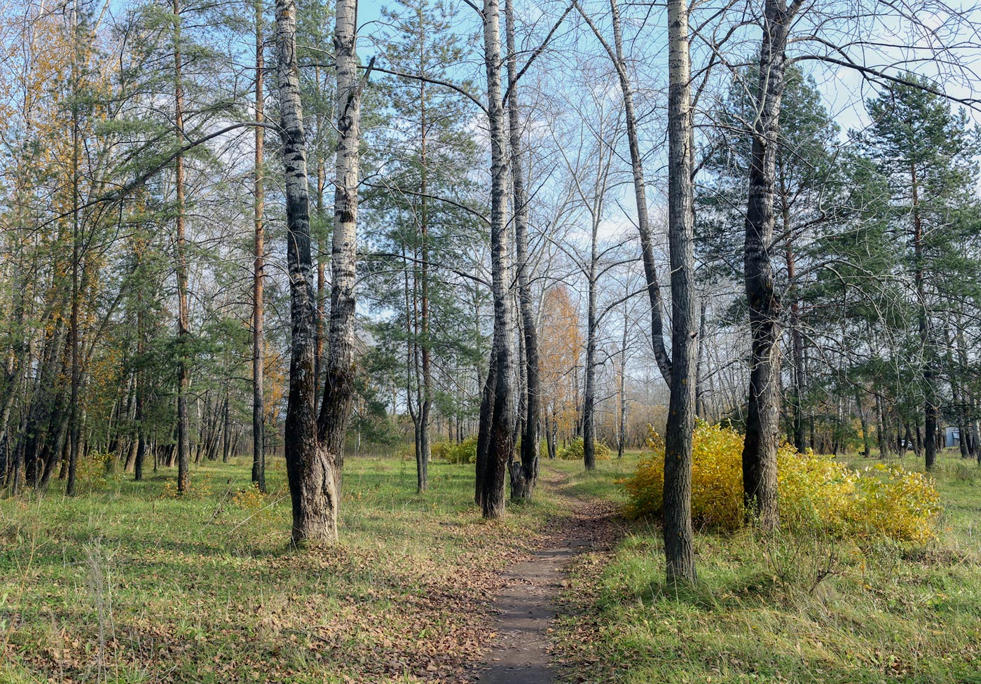 Закамск, image of landscape/habitat.