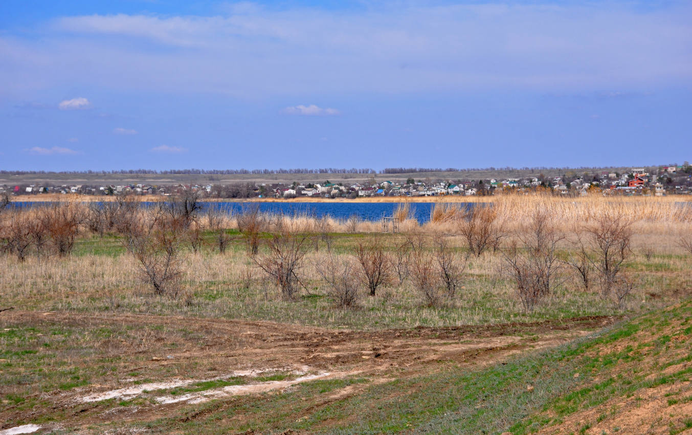 Береславское водохранилище, image of landscape/habitat.